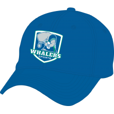 Whalers Sports A Frame Flexfit Cap